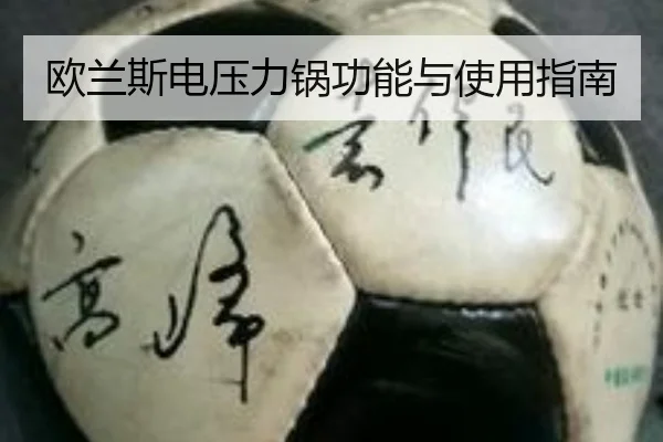 欧兰斯电压力锅功能与使用指南