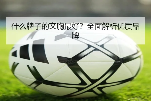 什么牌子的文胸最好？全面解析优质品牌（leyu）