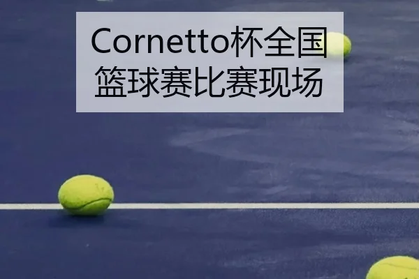 Cornetto杯全国篮球赛比赛现场（leyu）