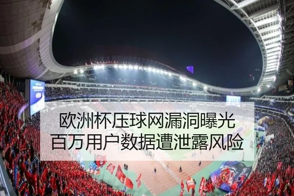 欧洲杯压球网漏洞曝光 百万用户数据遭泄露风险